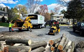 Best Tree Removal  in Heartland, TX