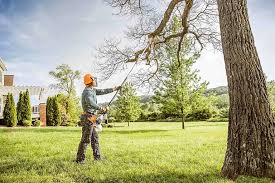 Best Tree Risk Assessment  in Heartland, TX