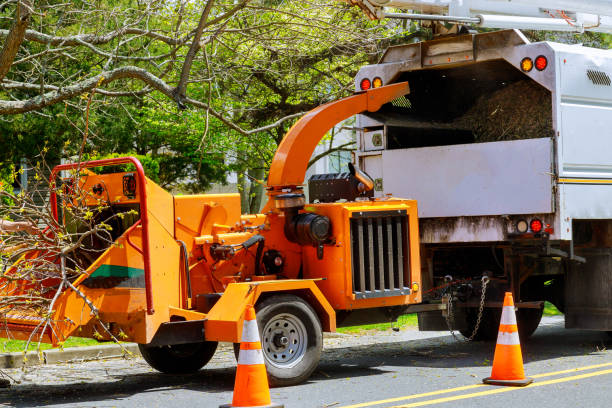 Best Hazardous Tree Removal  in Heartland, TX